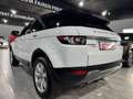 Land Rover Range Rover Evoque 2.2 Td4 PANO/AUT/LEDER/AHK Blanc - thumbnail 5