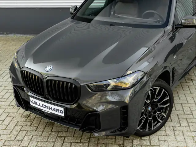BMW X5 view 10