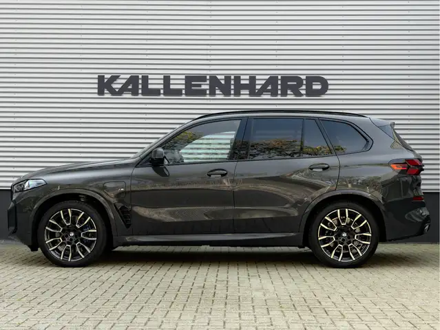 BMW X5 view 8