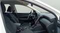 Hyundai TUCSON 1.6 TGDI Klass 4x2 Blanco - thumbnail 11