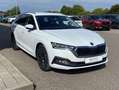 Skoda Octavia Combi 2.0 TDI Style AHK+17"+LEDER+EL.SIT Weiß - thumbnail 6