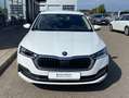 Skoda Octavia Combi 2.0 TDI Style AHK+17"+LEDER+EL.SIT Weiß - thumbnail 7