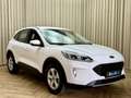 Ford Kuga 2.5 PHEV Trend *Apple-Carplay* Stoelverwarming / E Wit - thumbnail 22