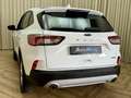 Ford Kuga 2.5 PHEV Trend *Apple-Carplay* Stoelverwarming / E Wit - thumbnail 7