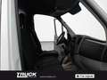 Mercedes-Benz Sprinter II 316 CDI E6 2016 - sprinter 316 cdi T 37/35 Exec Bianco - thumbnail 6