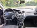 Ford Focus - thumbnail 9