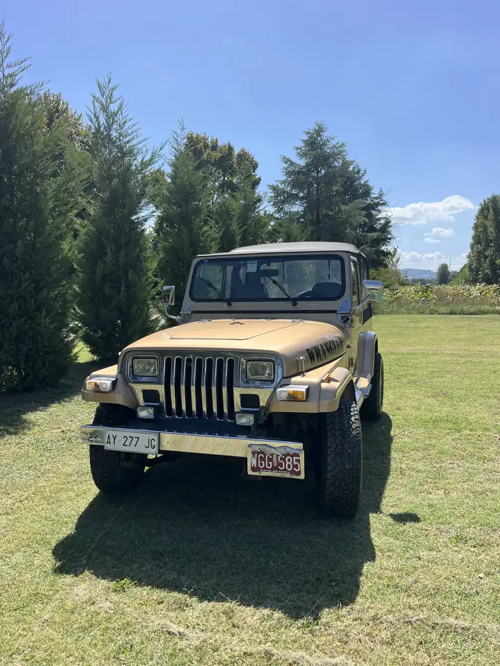 Jeep Wrangler Autovettura 4 Posti, foto 1