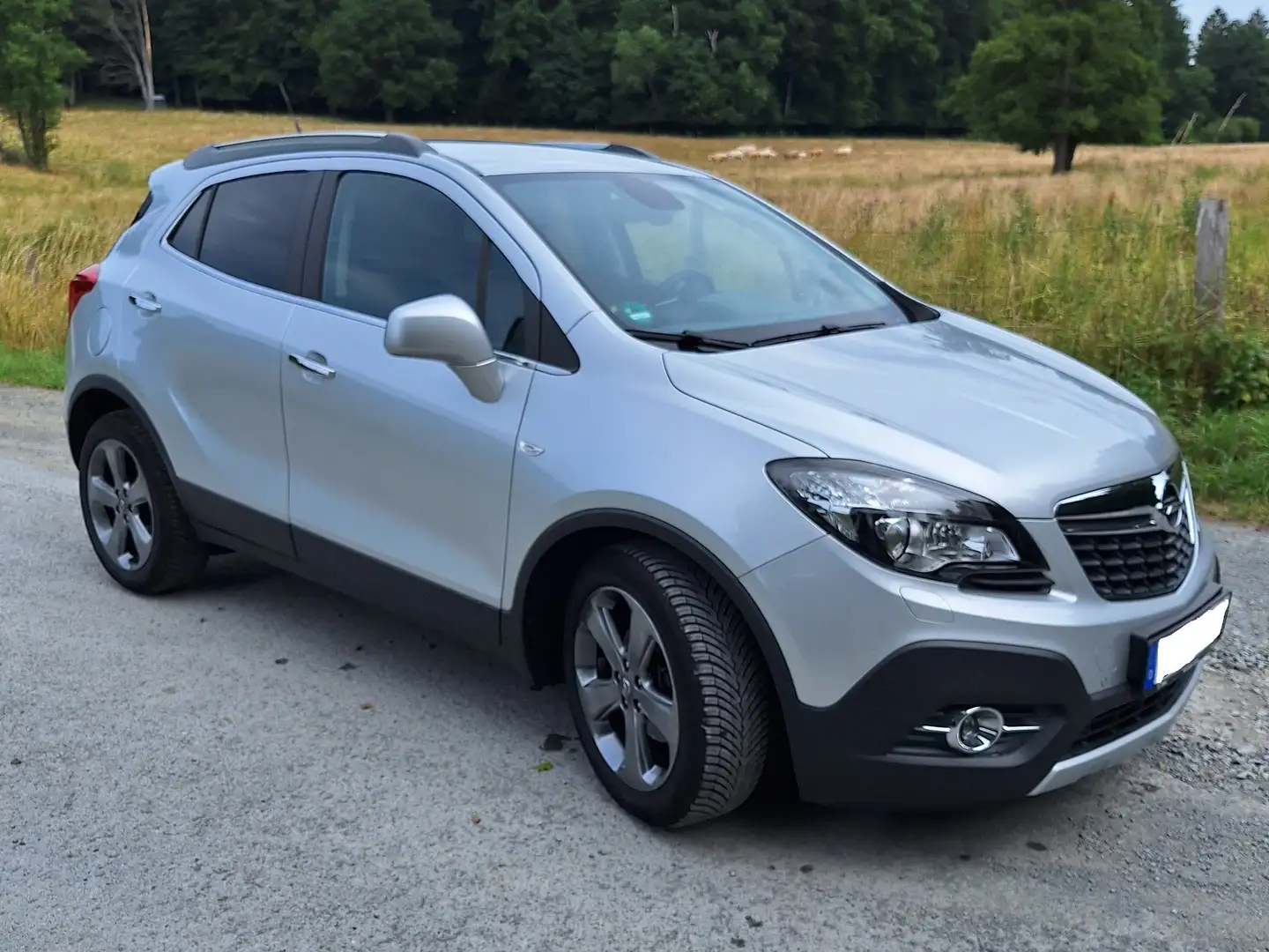 Opel Mokka Mokka 1.4 LPG ecoFLEX Innovation Silber - 2