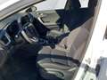 Kia Ceed / cee'd Ceed 1.5 T-GDI Silver (EU-Fahrzeug) Weiß - thumbnail 5