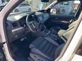 Volkswagen Amarok Aventura V6 TDI 4x4 permanent Weiß - thumbnail 9