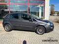 Fiat Punto Evo 5p 1.4 Dynamic s&s 77cv Gris - thumbnail 2