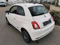 Fiat 500 1.0i MHEV Hybrid Lounge Open-dak, navi... Wit - thumbnail 5