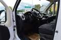Fiat Ducato 150 33 L3H2 NETTO € 15.750.- Weiß - thumbnail 3