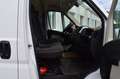Fiat Ducato 150 33 L3H2 NETTO € 15.750.- Weiß - thumbnail 4