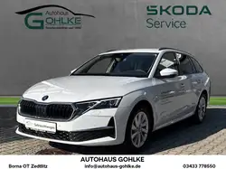 Skoda Octavia Combi 1.5T 110kW DSG*Matrix*360 Grad*Nav