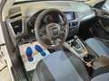 Audi Q5 2.0 tdi quattro 143cv dpf Bianco - thumbnail 8