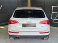 Audi Q5 2.0 tdi quattro 143cv dpf Bianco - thumbnail 6