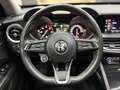 Alfa Romeo Stelvio 2.2 t Business rwd 160cv Nero - thumbnail 9