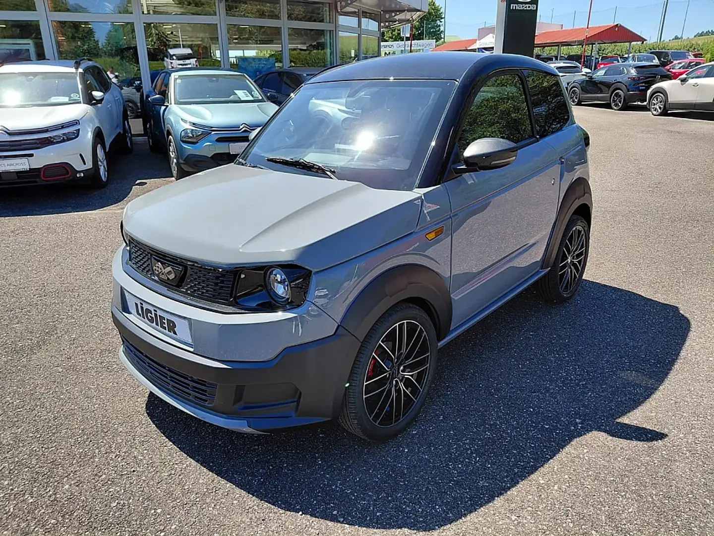 Ligier Sonstige Myli REBEL Diesel + Servo NEUES MODELL **Autofa... Grau - 1