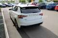 Skoda Fabia 1.0 TSI DSG Monte Carlo *17"*5J.Garantie* Weiß - thumbnail 5