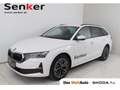 Skoda Octavia 4x4 Selection TSI DSG Weiß - thumbnail 1