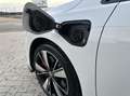 Volkswagen Golf GTE 245pk DSG 2021 Wit Wit - thumbnail 7