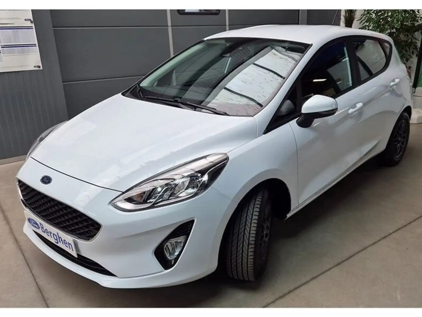 Ford Fiesta i Trend 5D Wit - 2