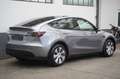 Tesla Model Y Long Range AWD *AHK+Matrix-LED* Zilver - thumbnail 20