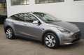 Tesla Model Y Long Range AWD *AHK+Matrix-LED* Zilver - thumbnail 18
