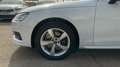 Audi A4 2.0 35 TDI MHEV S TRONIC ADVANCED AVANT 163 5P Blanco - thumbnail 6