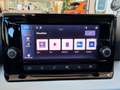 SEAT Arona Austria Edition 1.0 TSI Grau - thumbnail 9