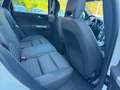 Volvo V50 V50 1.6 d2 Polar 115cv Bianco - thumbnail 15