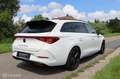 CUPRA Leon Sportstourer 1.4 e-Hybrid / Trekh / Navi / Camera Blanco - thumbnail 4
