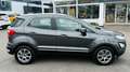 Ford EcoSport ECOSPORT 1.0 EcoBoost Aut.TREND Grau - thumbnail 5