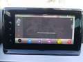 SEAT Ibiza FR 1.0 TSI DSG FULL LED Navi Keyless Rückf Noir - thumbnail 19