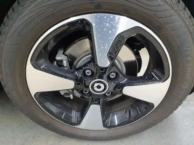 smart Fortwo view 17