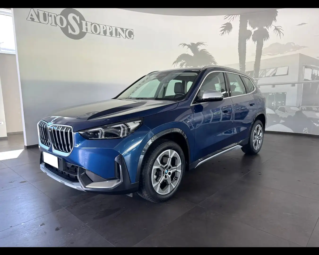 BMW X1 (U11) sDrive 18d xLine Blu/Azzurro - 1