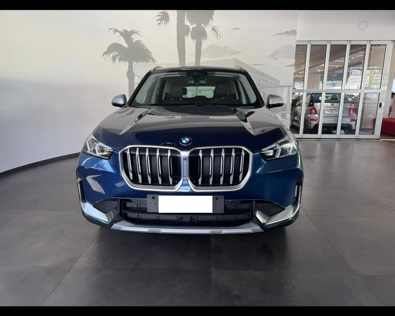 BMW X1 (U11) sDrive 18d xLine Blu/Azzurro - 2