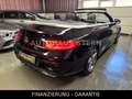 Mercedes-Benz C 200 Cabrio AMG Line 8fach LED Totwinkel Tempom Noir - thumbnail 14