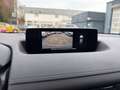 Mazda MX-30 Advantage NAVI LED KAMERA Weiß - thumbnail 20