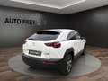 Mazda MX-30 Advantage NAVI LED KAMERA Weiß - thumbnail 3