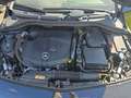 Mercedes-Benz B 220 CDI AMG Line Sportpaket AHK-klappbar El. Panodach Black - thumbnail 14