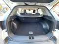 Kia Sportage Sportage V 2022 1.6 crdi mhev Business dct Blanc - thumbnail 10