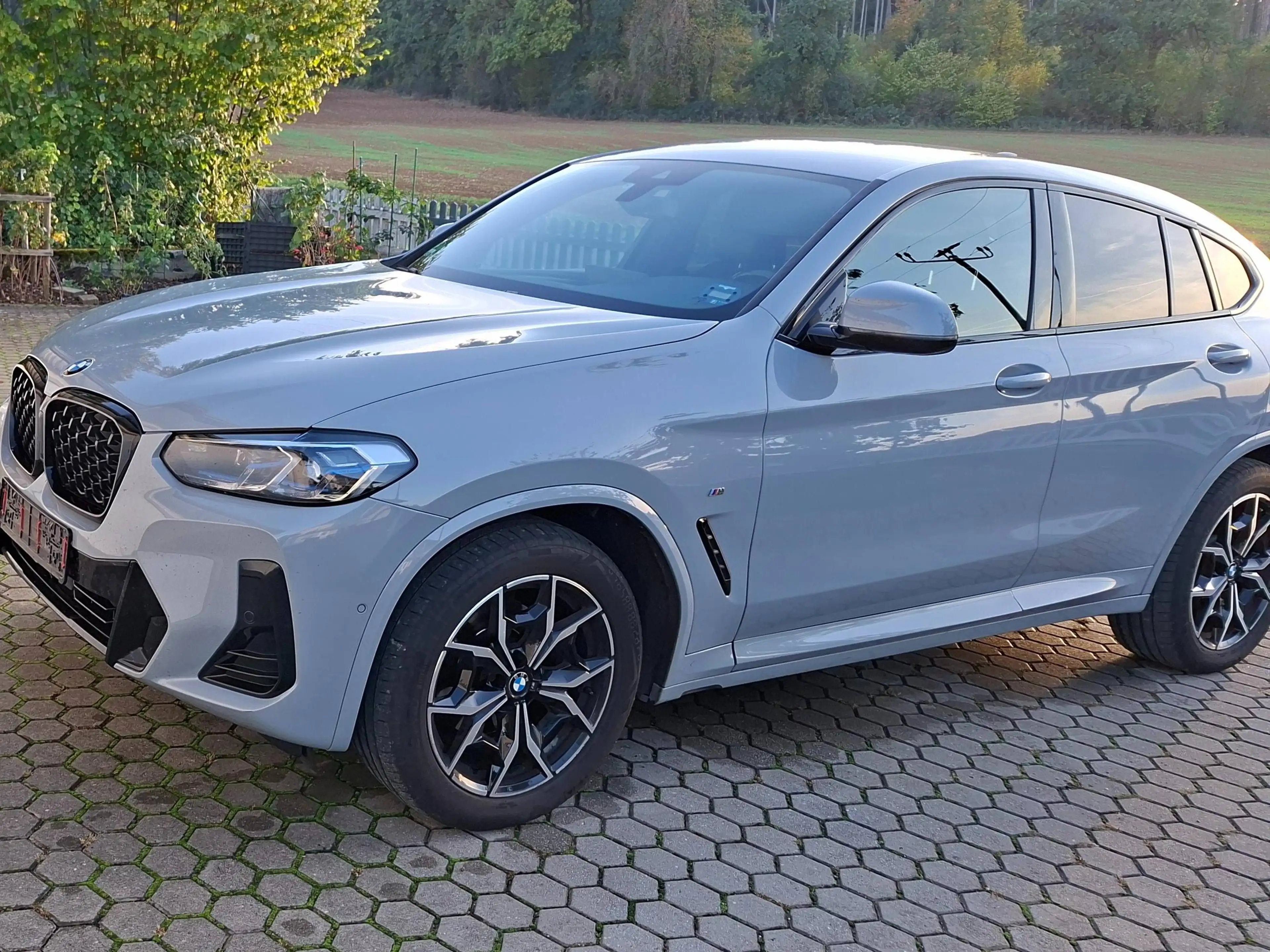 BMW X4 xDrive20d AT, M-Sport Paket,1.Hd — photo 2