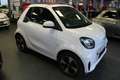 smart forTwo Cabrio EQ Passion - 22KW Lader - Weiß - thumbnail 1