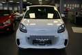 smart forTwo Cabrio EQ Passion - 22KW Lader - Weiß - thumbnail 2