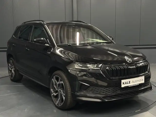 Skoda Karoq view 7
