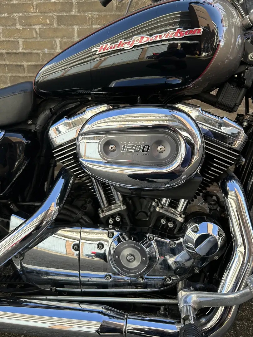 Harley-Davidson Sportster 1200 1200 custom - 2