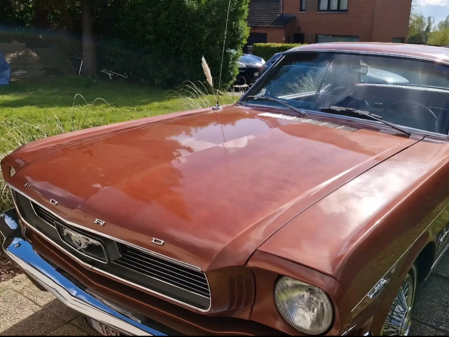 Ford Mustang 1966 V8 coupe Emberglo Rood - 1