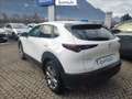 Mazda CX-30 2.0 m-hybrid executive 2wd 122cv 6mt Bianco - thumbnail 7